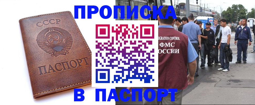 временная регистрация поиск в Раменском